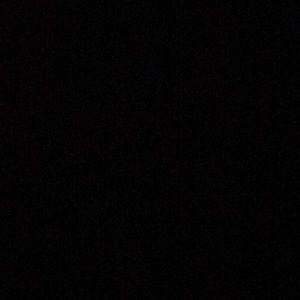 Meet your Posher, Morgann